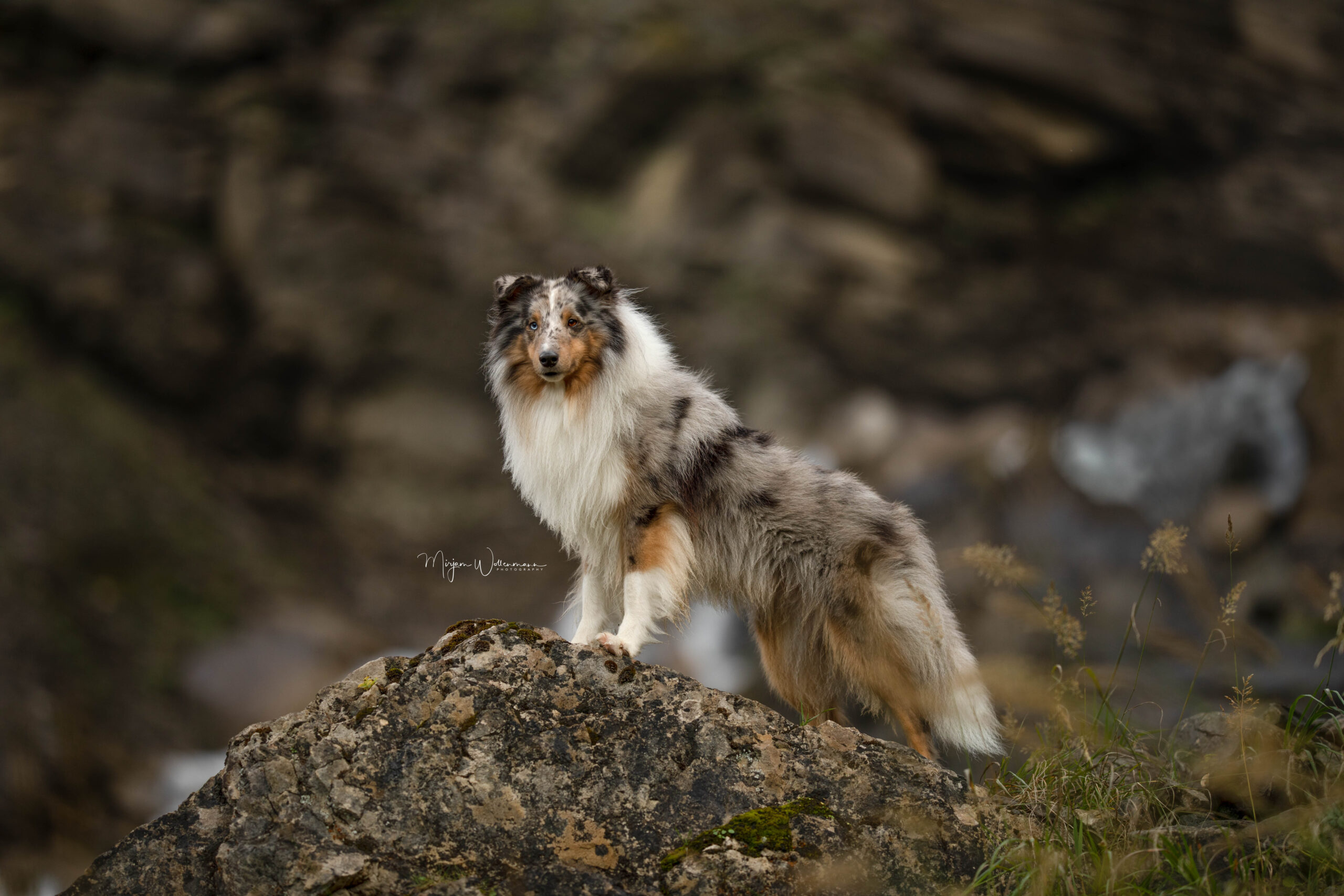 Wollenmann_Photography--3
